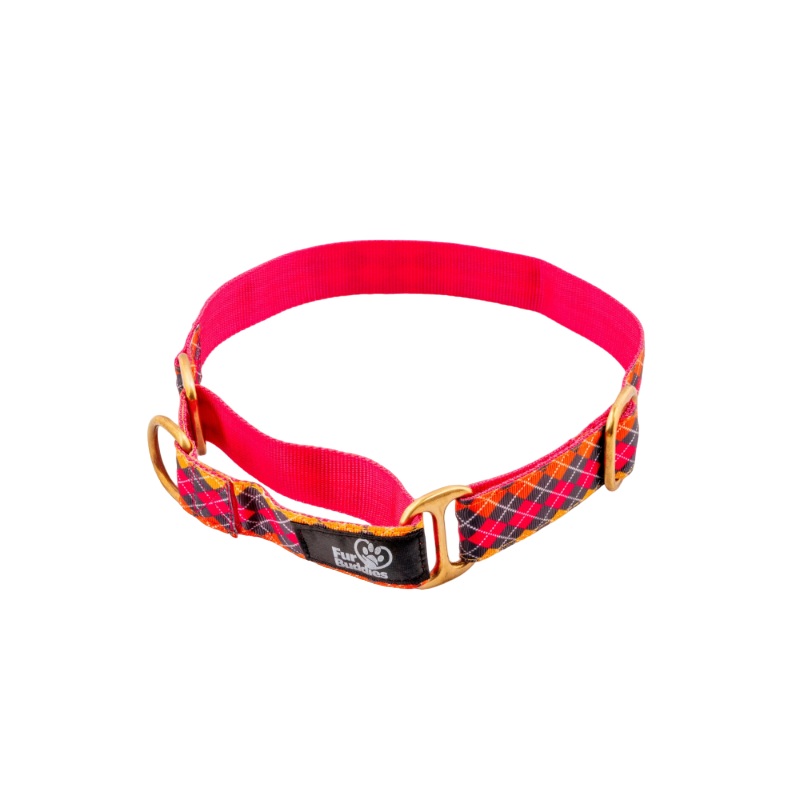 Furbuddies Martingale Collar For Dogs – Gulaabo