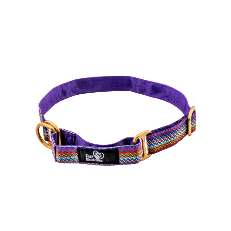 Furbuddies Martingale Collar For Dogs – Jamuni