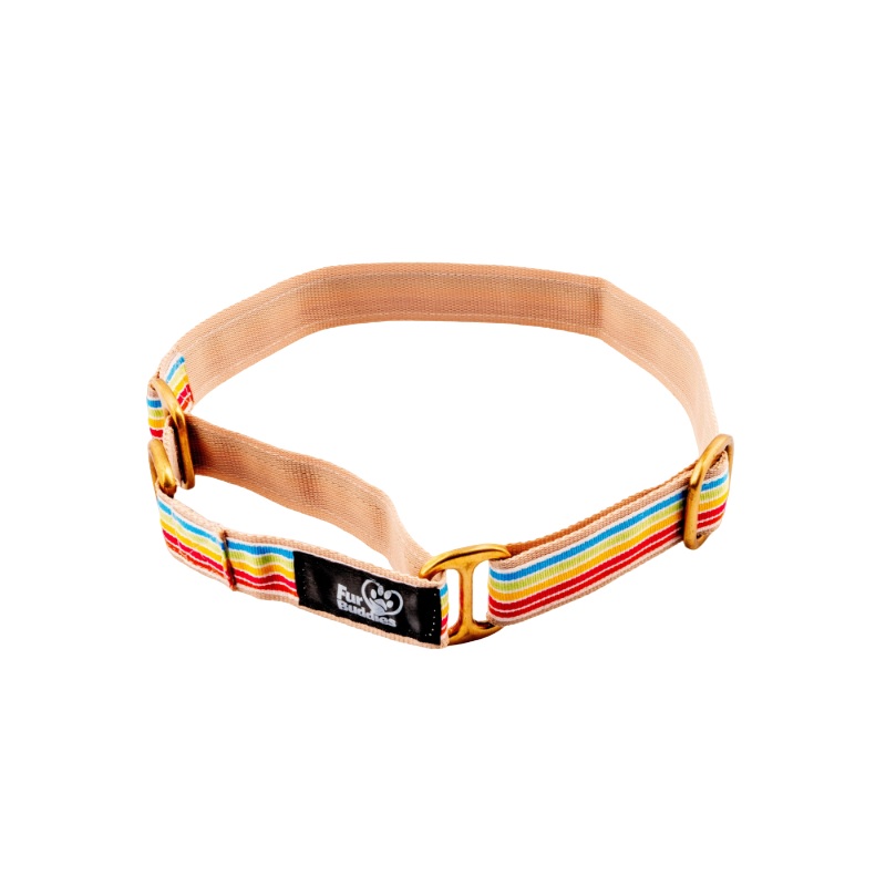 Furbuddies Martingale Collar For Dogs – Satrangi