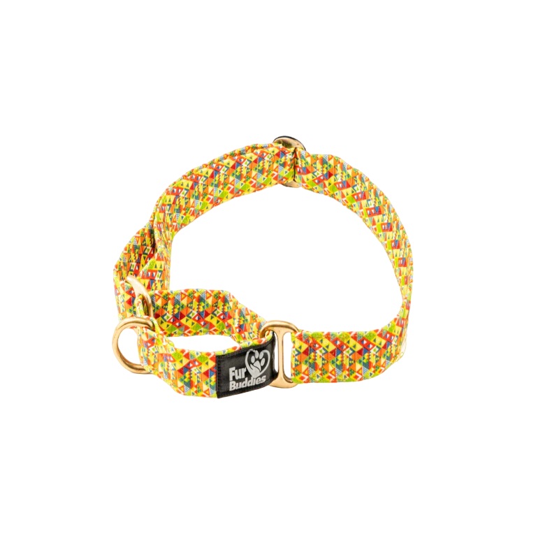 Furbuddies Martingale Collar For Dogs – Viva La Vibrance Canvas