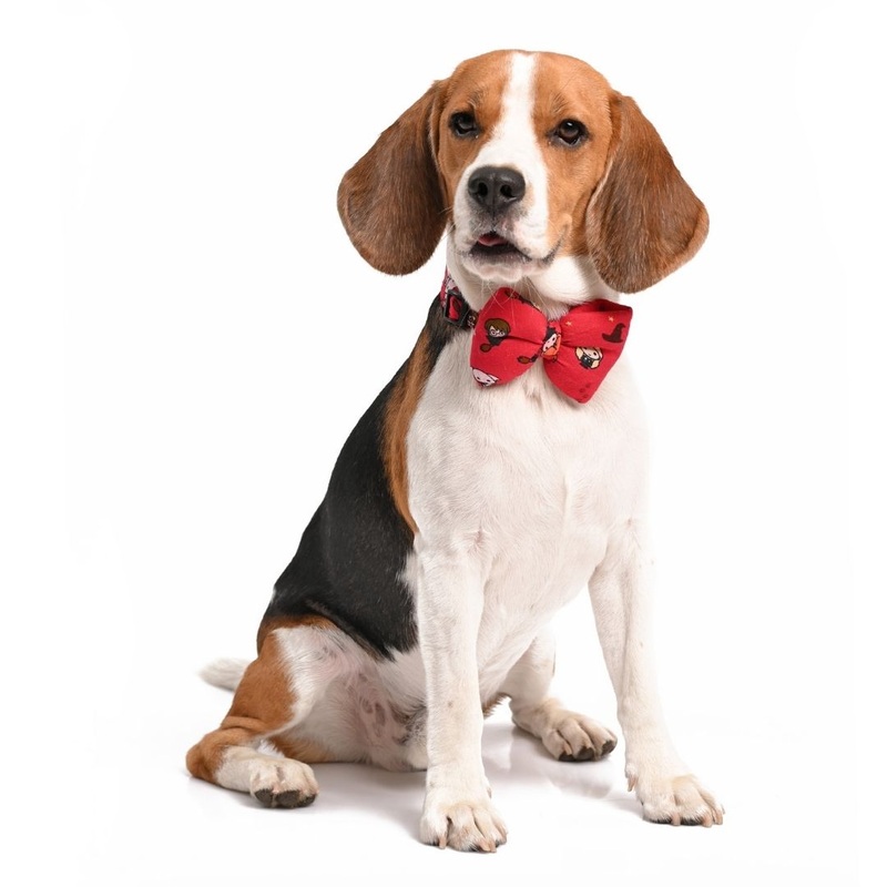 Harry Potter Dog Bow Tie – Friends of Harry Potter