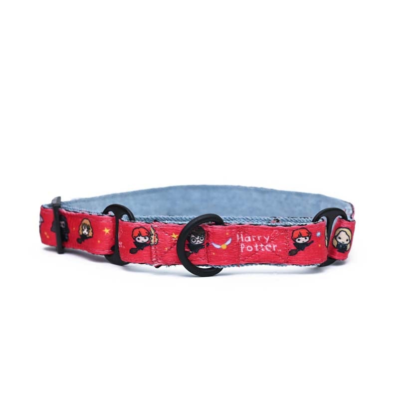 Harry Potter Martingale Collar – Friends of Harry Potter Dog Martingale Collar