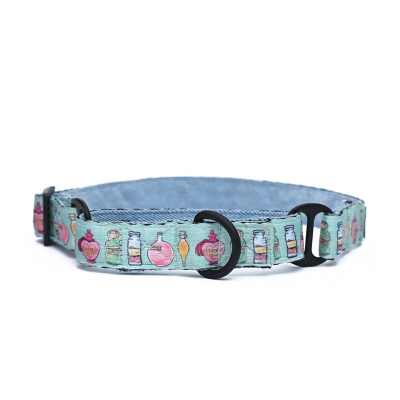 Harry Potter Martingale Collar – Potions in Motions Martingale Dog Collar