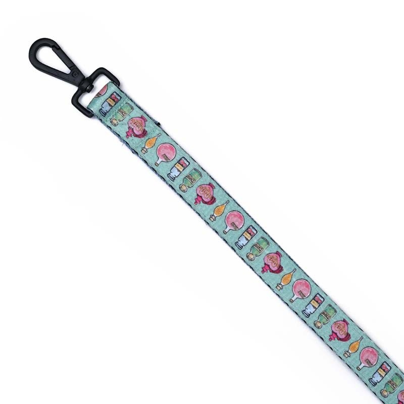 Harry Potter – Potions in Motions Leash