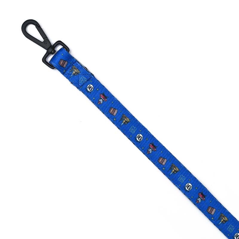 Harry Potter – Welcome To Hogwarts Leash
