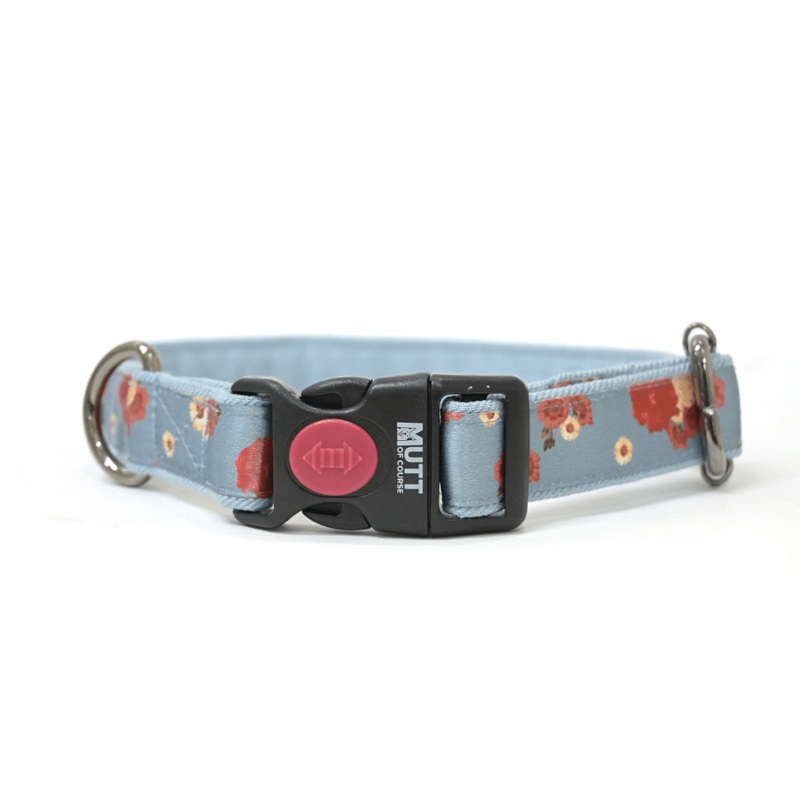 Mutt Of Course Collar For Dogs – Pawesome Blossom