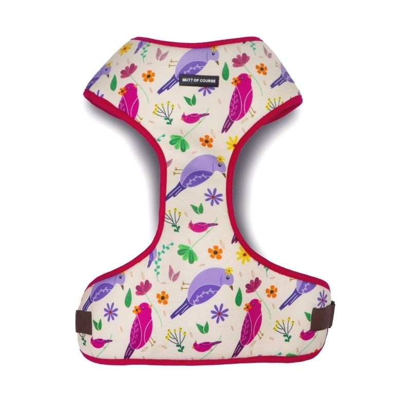 Mutt Of Course Harnesses for Dogs – Chirpy Chirps