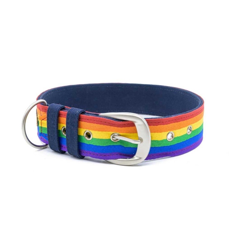 PetWale Belt Collar – Pride|S|M|L