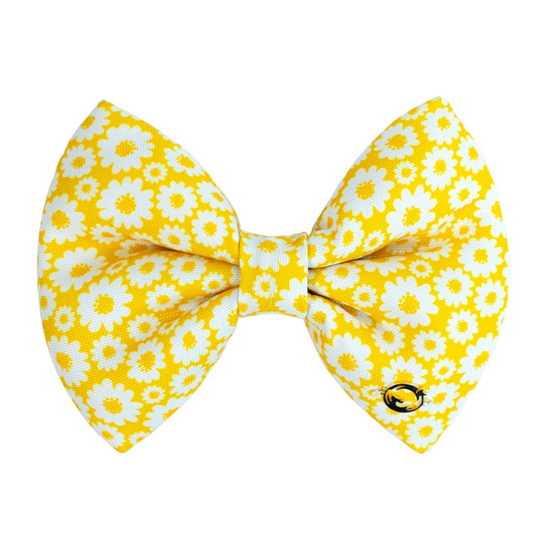 Bow for Cats and Dogs – Sunny Side Up