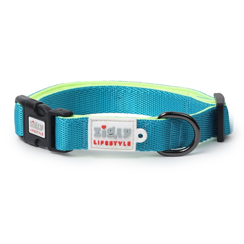 ZL Classic Padded Dog Collar  – Neon Green