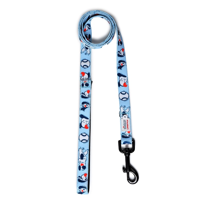 ZL Soft Padded Doodle Dog Leash – Blue