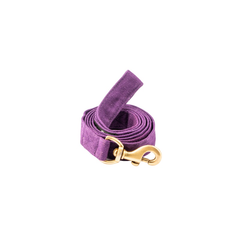 Furbuddies Leash For Dogs – Amethyst Dream Canvas (5ft)