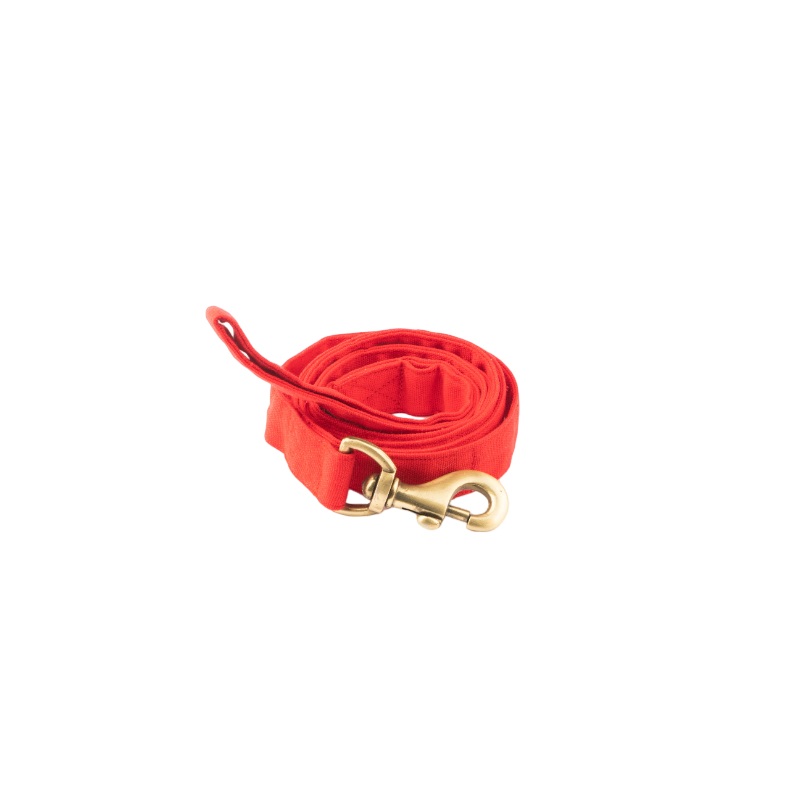 Furbuddies Leash For Dogs – Candy Apple Red Canvas (5ft)