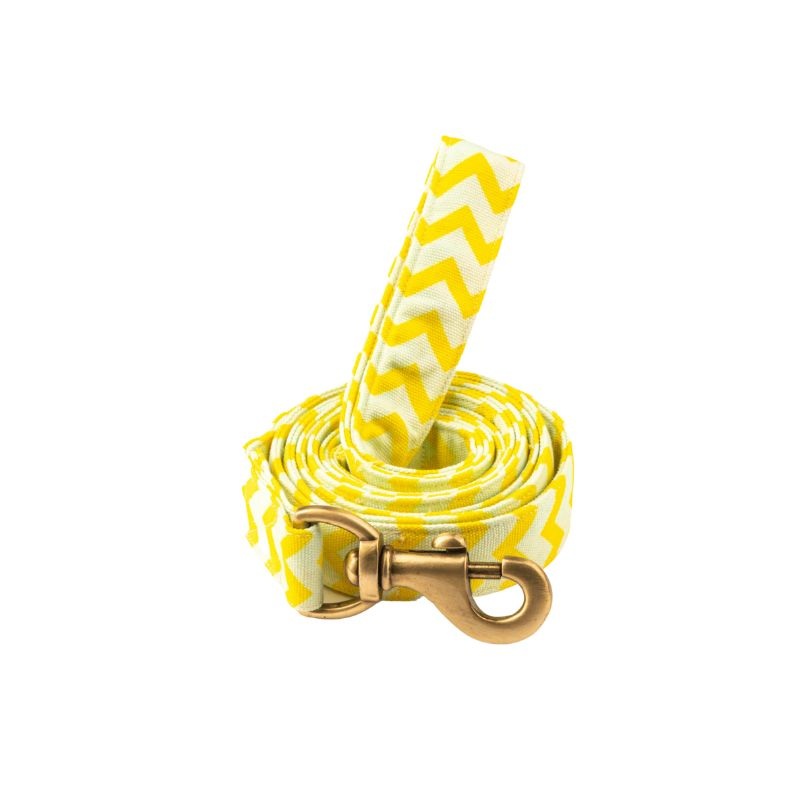 Furbuddies Leash For Dogs – Citrus Chevron Canvas Leash (5ft)