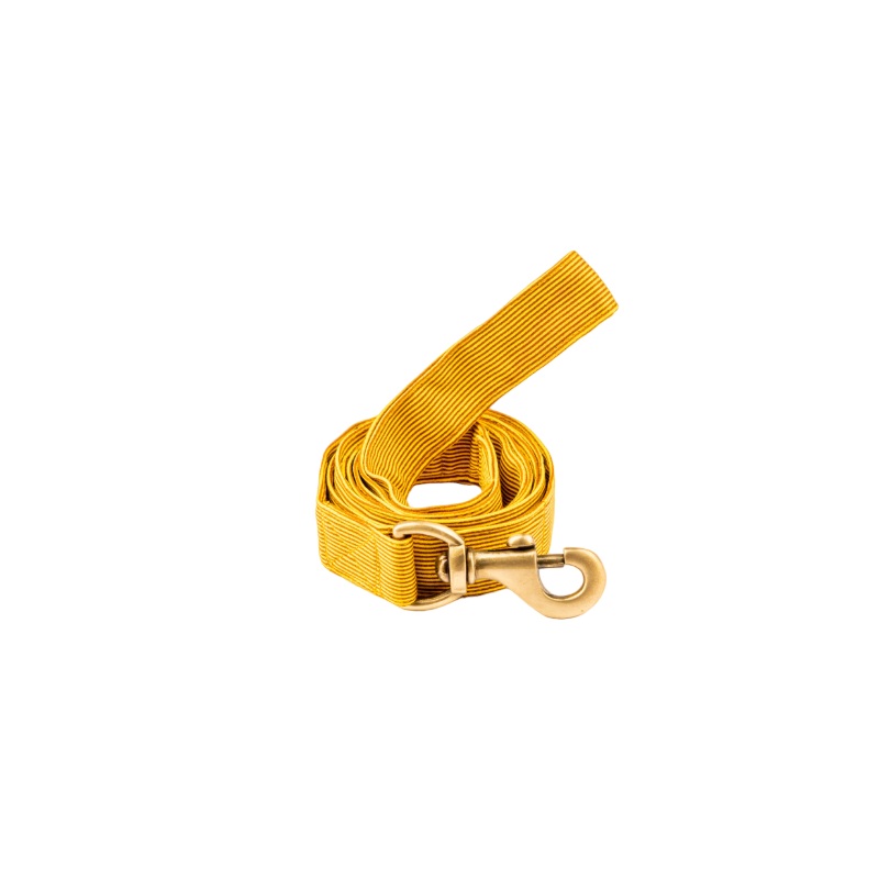 Furbuddies Leash For Dogs – Dandelion Yellow Canvas (5ft)