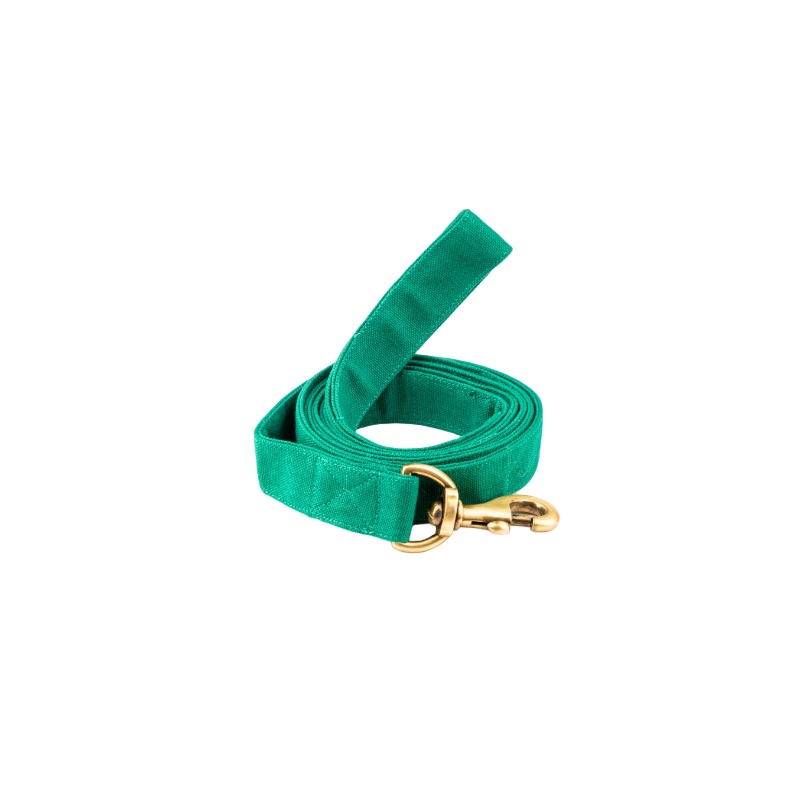 Furbuddies Leash For Dogs – Pine Green Canvas (5ft)
