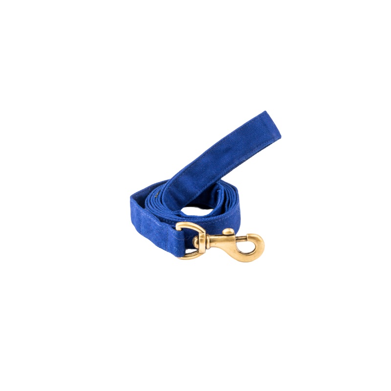 Furbuddies Leash For Dogs – Royal Azure Blue Canvas (5ft)