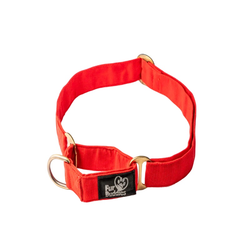 Furbuddies Martingale Collar For Dogs – Candy Apple Red Canvas