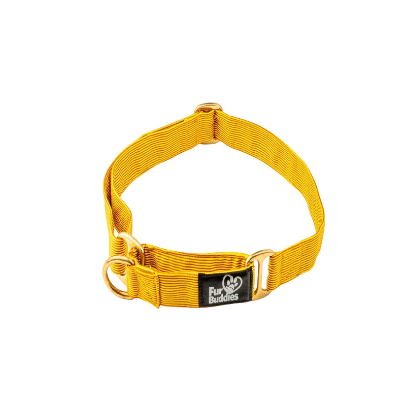 Furbuddies Martingale Collar For Dogs – Dandelion Yellow Canvas