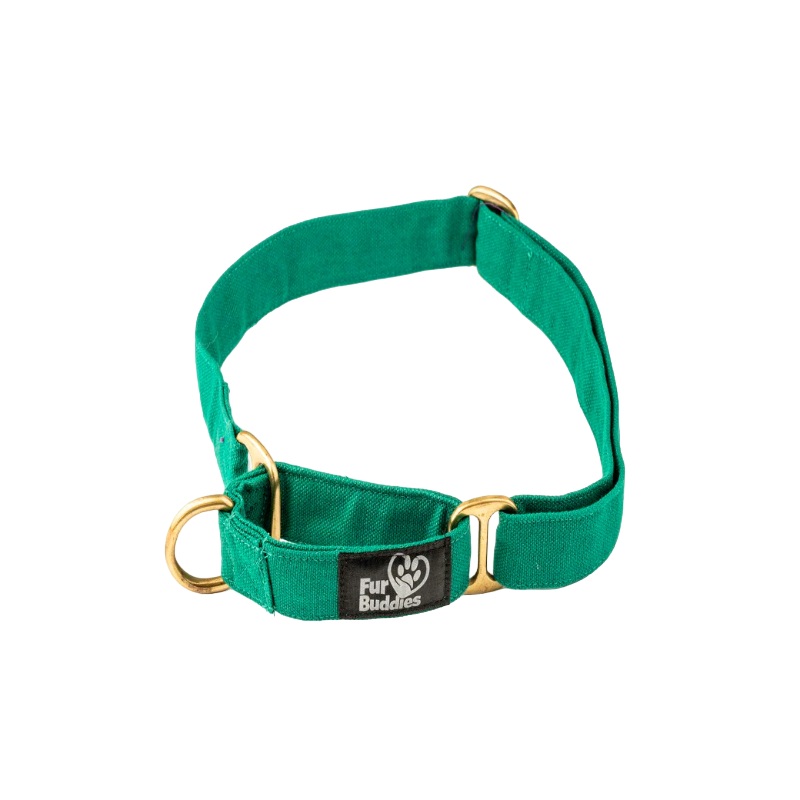Furbuddies Martingale Collar For Dogs – Pine Green Canvas