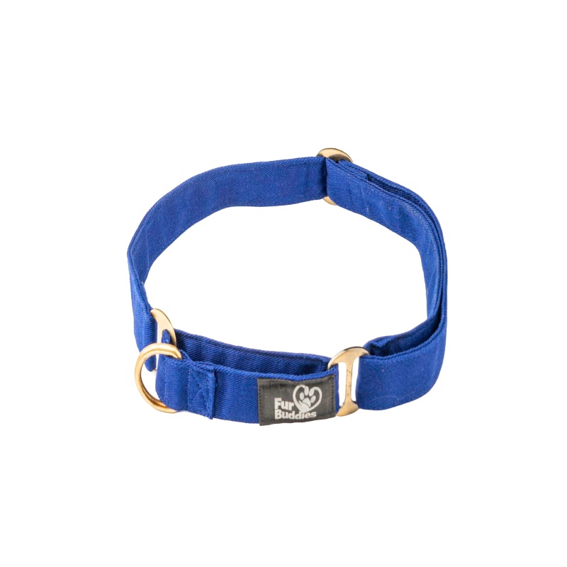 Furbuddies Martingale Collar For Dogs – Royal Azur Blue Canvas