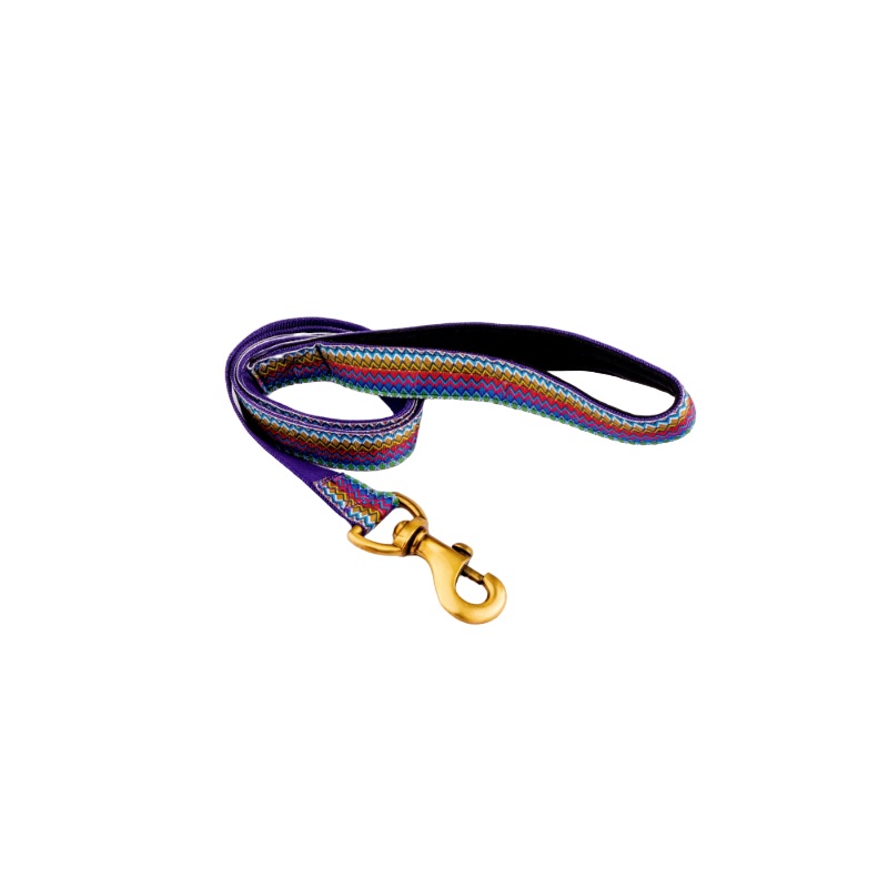 Furbuddies Soft Padded Leash For Dogs – Jamuni (4ft)