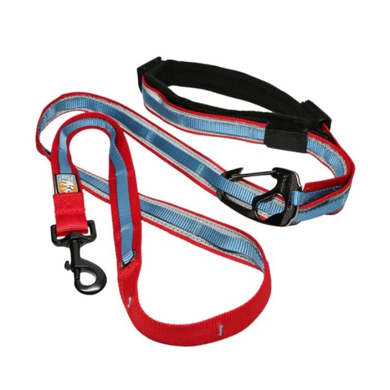 Kurgo Quantum 6-in-1 Dog Leash – Barn Red