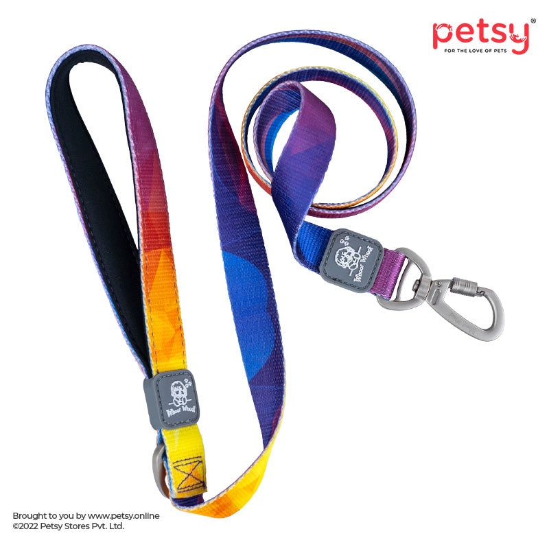 Whoof Whoof Premium Printed Leash for Dogs – Northern Light (Large)