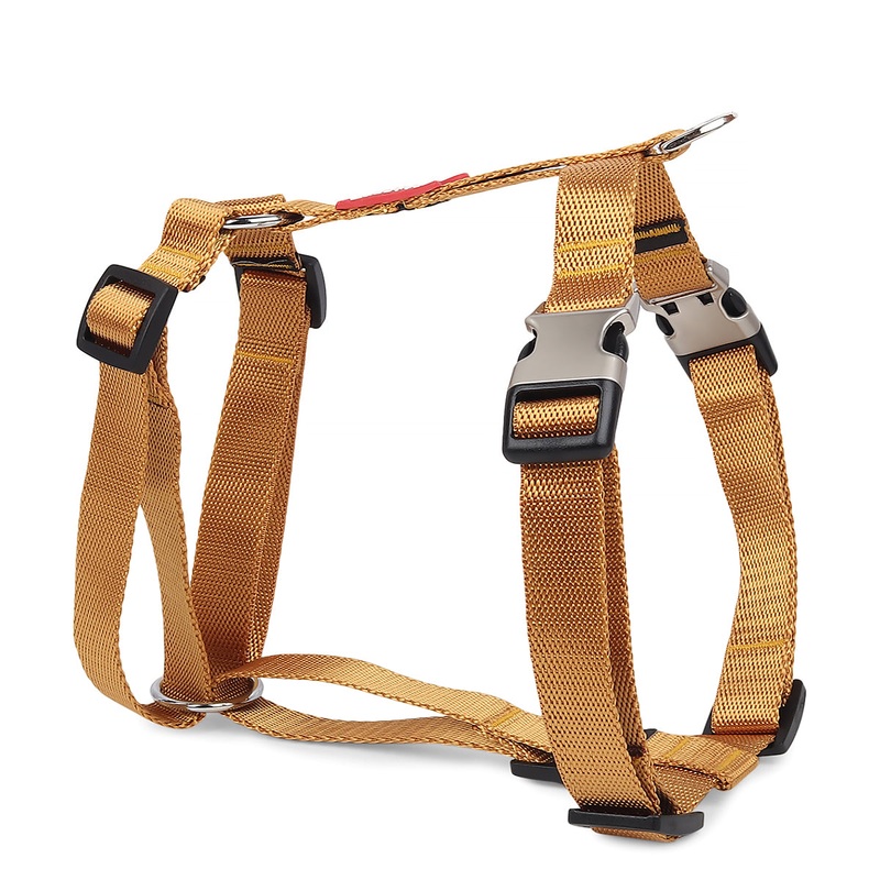 ZL Classic Dog H Harness Gold|Small|Medium|Large