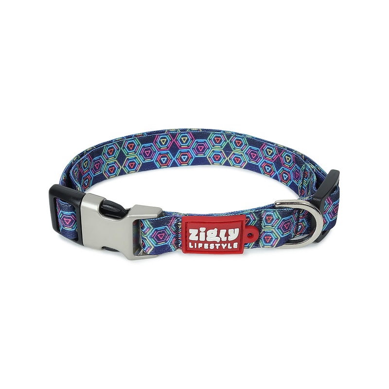 ZL Disco Dog Collar|S|M|L