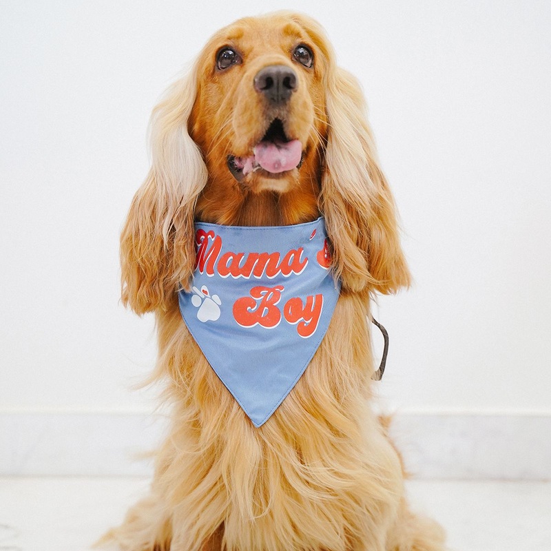 ZL Mama’s Boy Dog Bandana|S|M|L