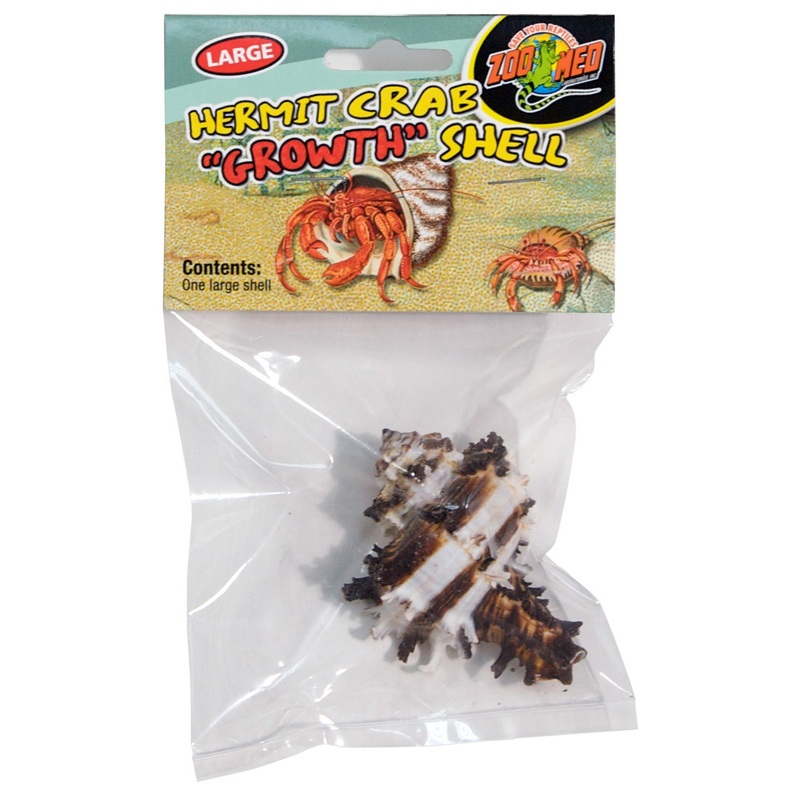 Zoo Med Hermit Crab Growth Shells – 1 Pack Large