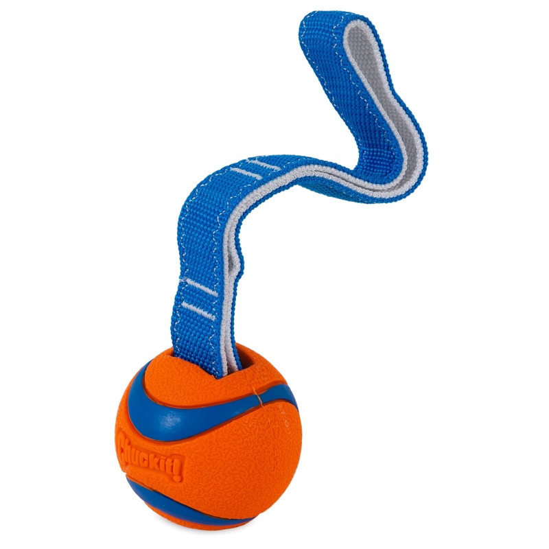 Chuckit! Ultra Tug Dog Toy|ORANGE/BLUE|SMALL|MEDIUM|LARGE