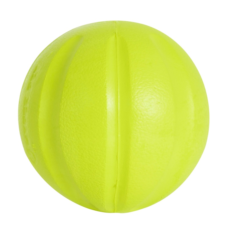 Hyper Pet Chewz Bumpy Ball Dog Toy
