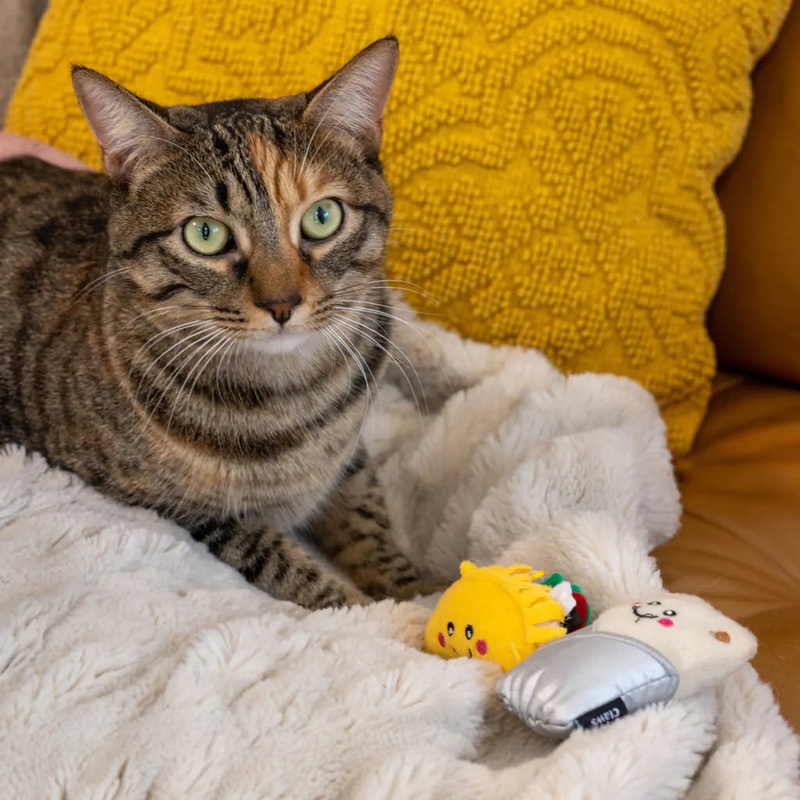 ZippyClaws NomNomz  Taco and Burrito Cat Toy