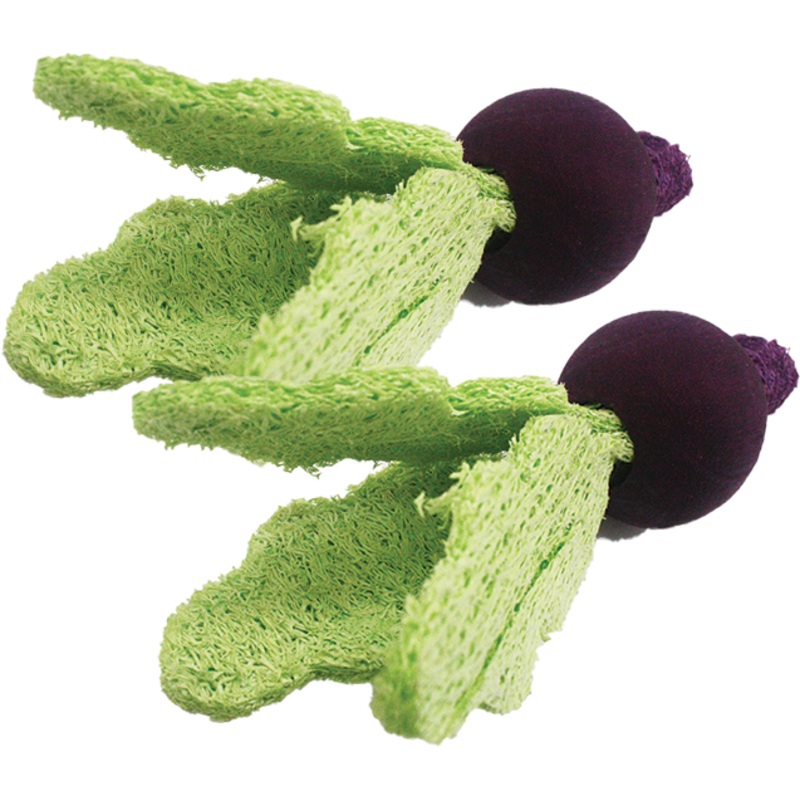 A&E Bird Cage Loofah Turnips Toy for Small Animal