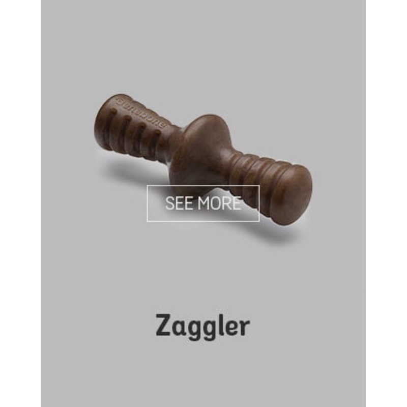 Benebone Zaggler Bacon|Puppy 2pk