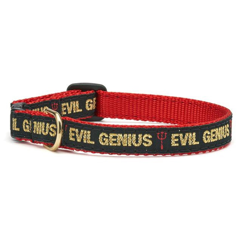 Up Country Evil Genius Cat Collar