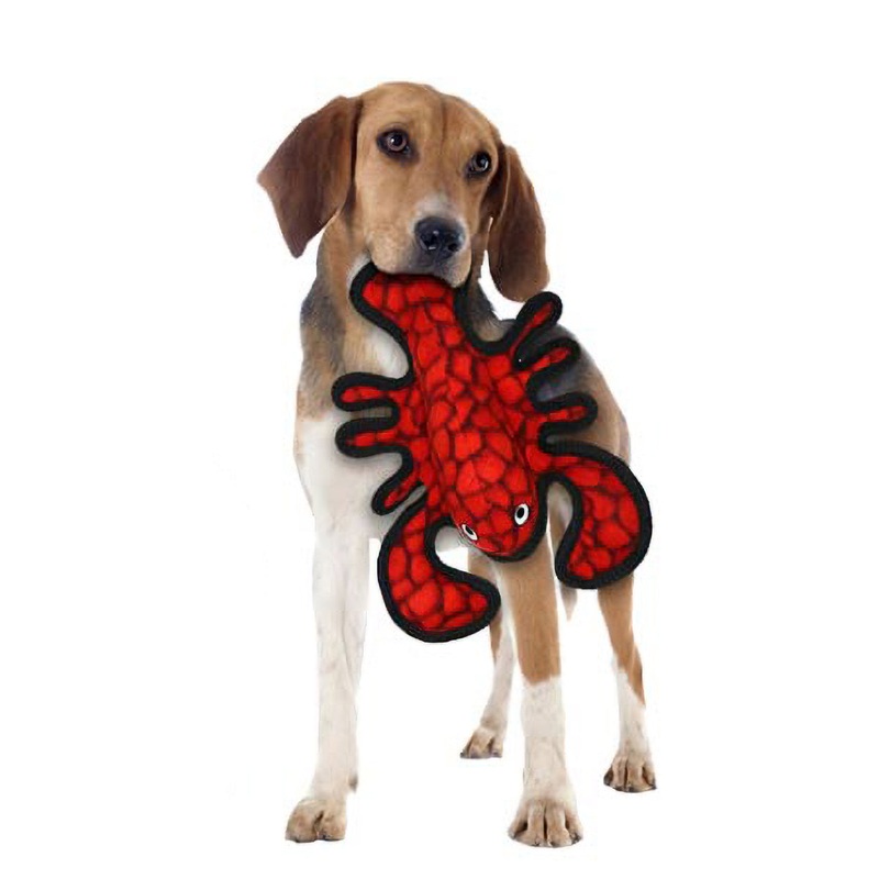 VIP Ocean Larry Lobster
