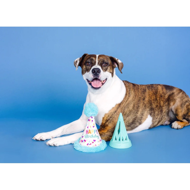 PetShop by Fringe Yappy Barkday Rubber/Plush Dog Toy