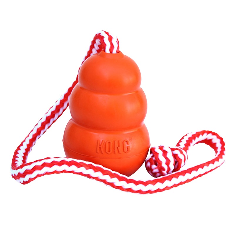 KONG Aqua Dog Toy Large
