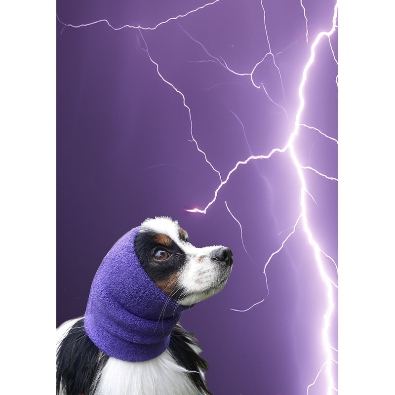 HAPPY HOODIE- XS PURPLE