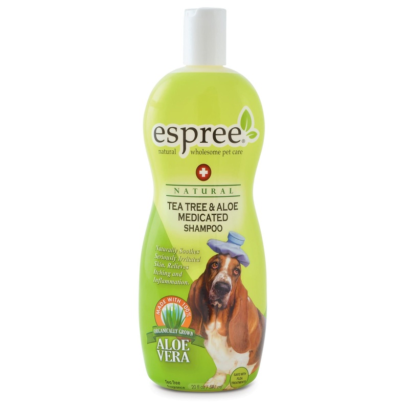 Espree Tea Tree & Aloe Medicated Shampoo, 20 oz