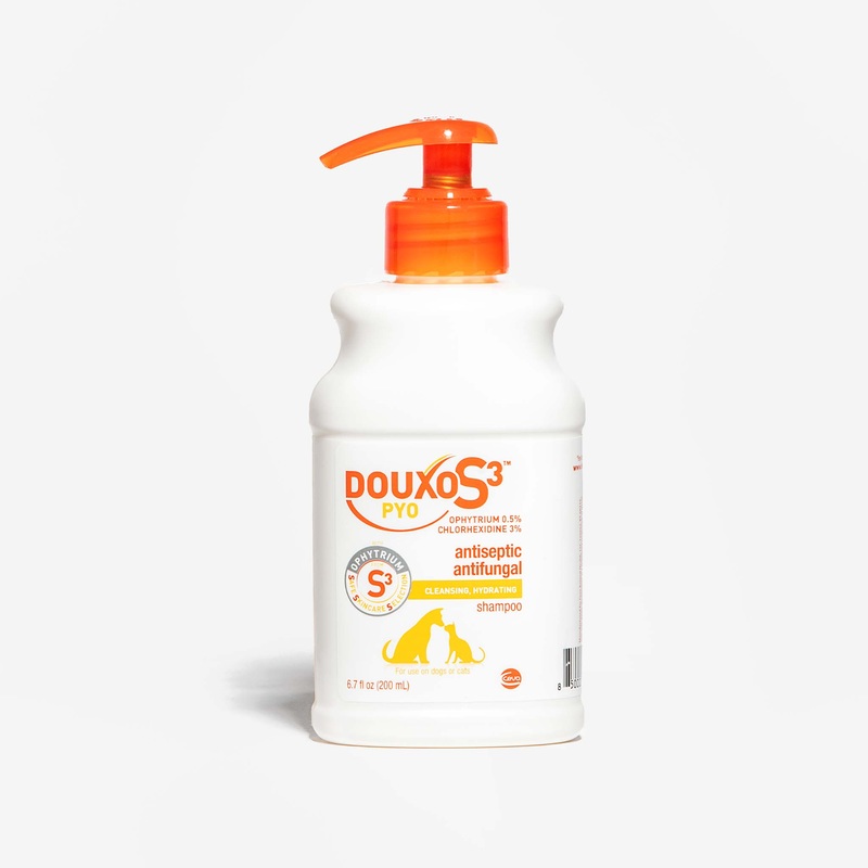 Douxo S3 PYO Shampoo|6.7 oz