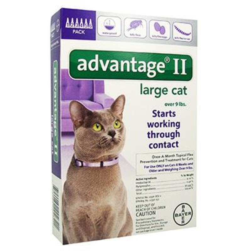 Advantage II for Cats – 6 months