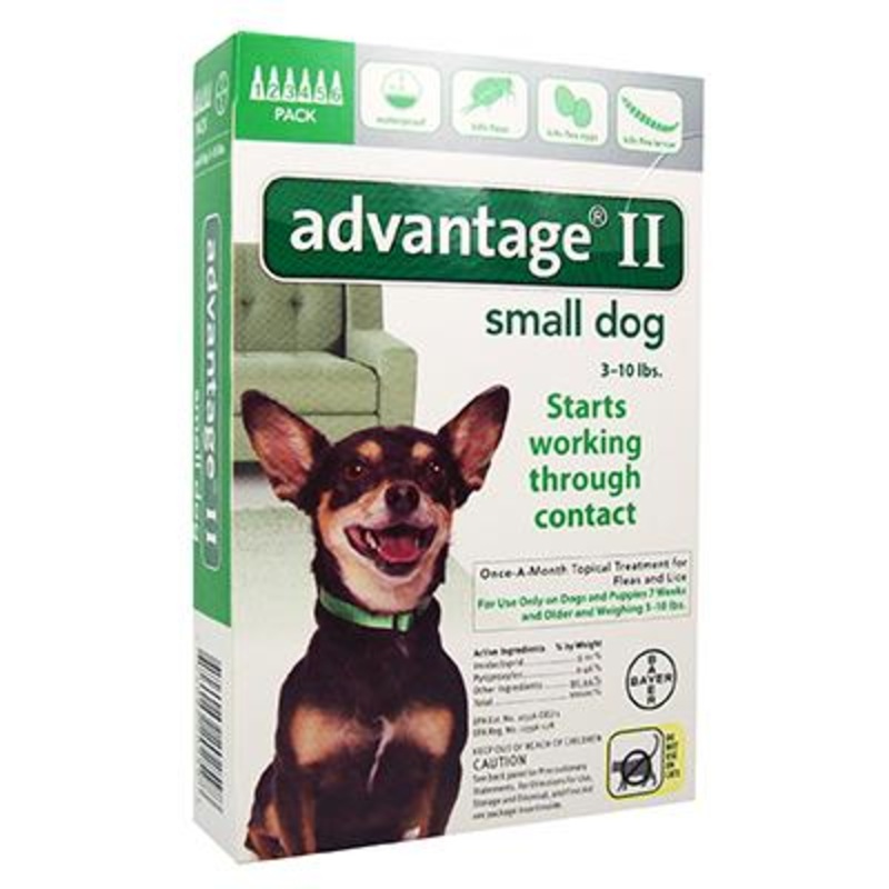 Advantage II for Dogs – 6 months
