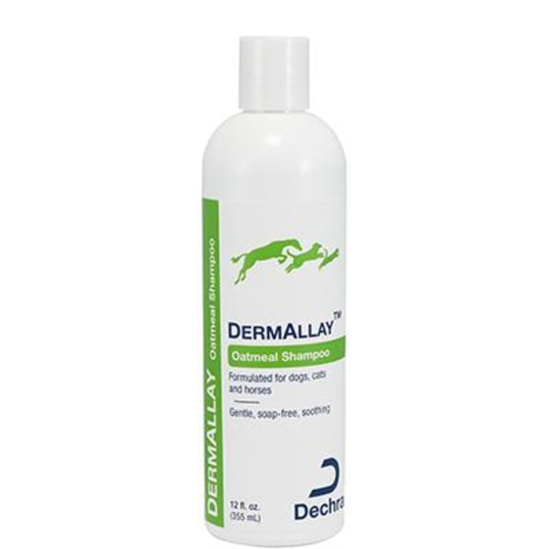 DermAllay Oatmeal Shampoo|12 oz|1 Bottle