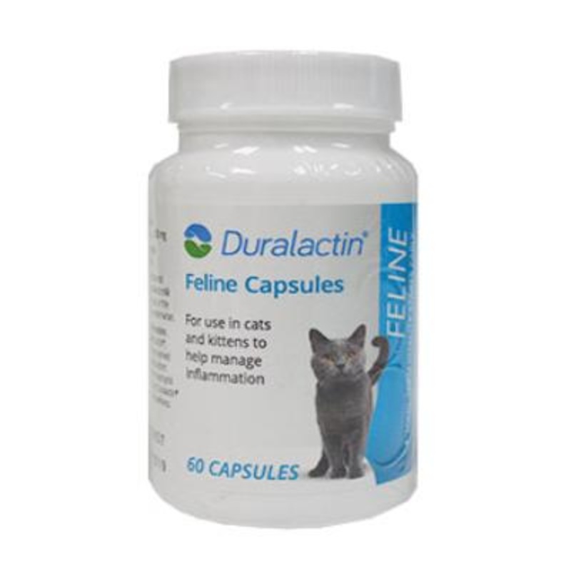 Duralactin Feline Capsules|60 Count