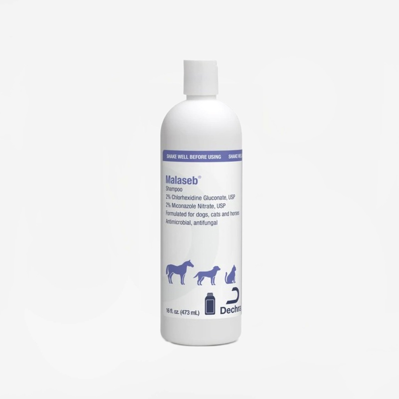 Malaseb Shampoo|8 oz|1 Bottle