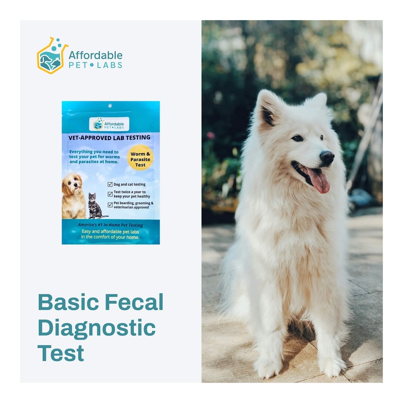 Affordable Pet Labs – Basic Fecal Diagnostic Test For Dogs & Cats, Easy Home Kit